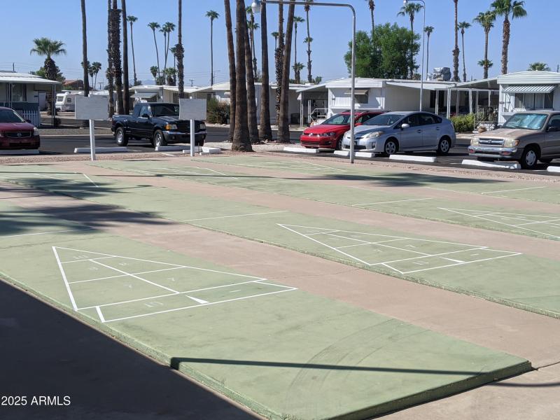 Palm Shadows Shuffle Board Court