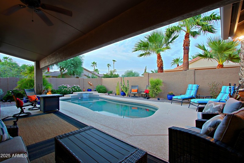 Backyard 1