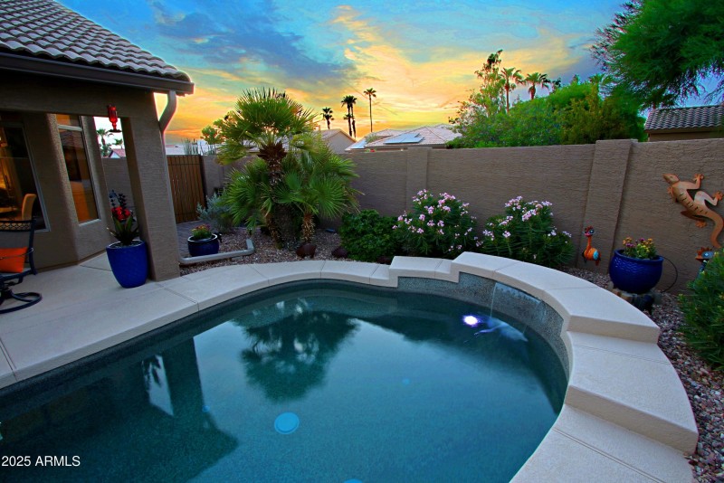 Backyard 4