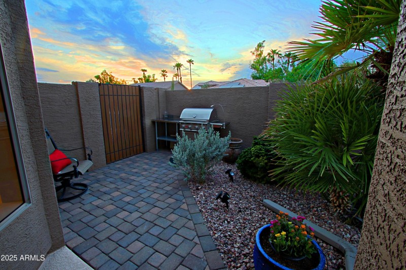 Backyard 12