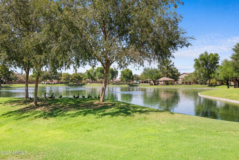 Arden Park Community Lake
