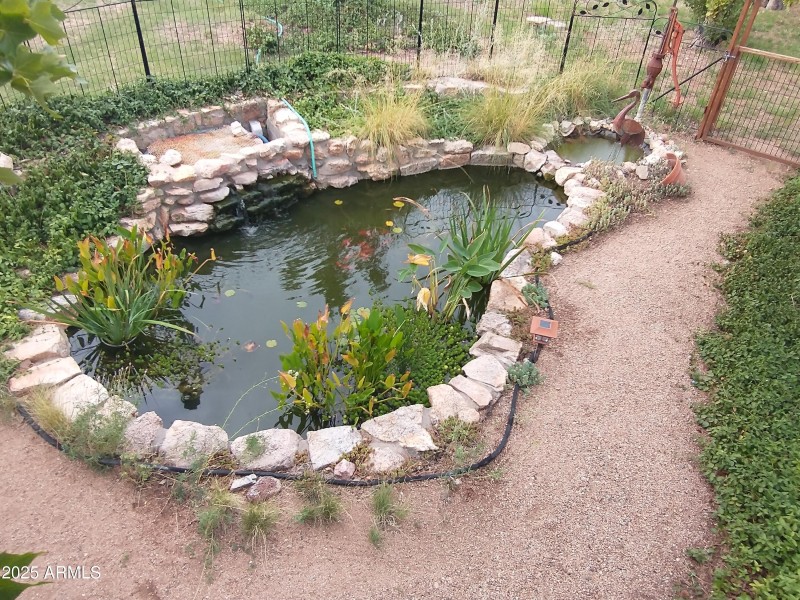 Serene Koi Pond