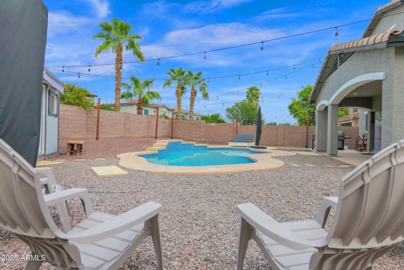 Low Maintenance Yard