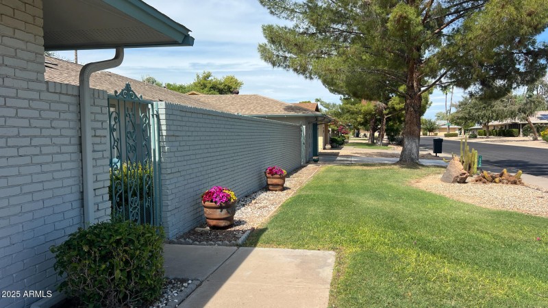 Front Yard
