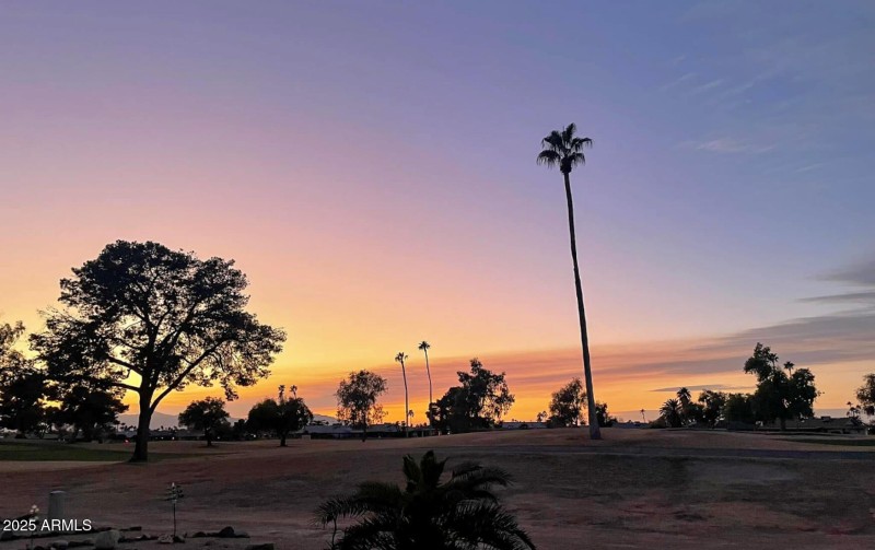 Evening Beauty