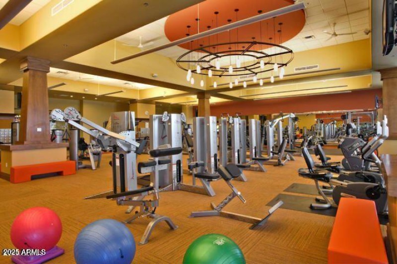 SCF fitness1