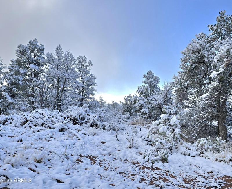 Terrain Level to Gently Sloping