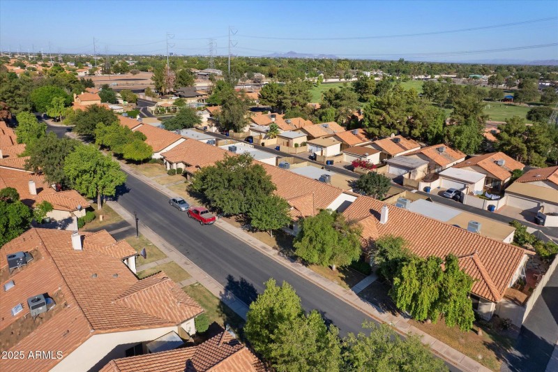 Tree lined street