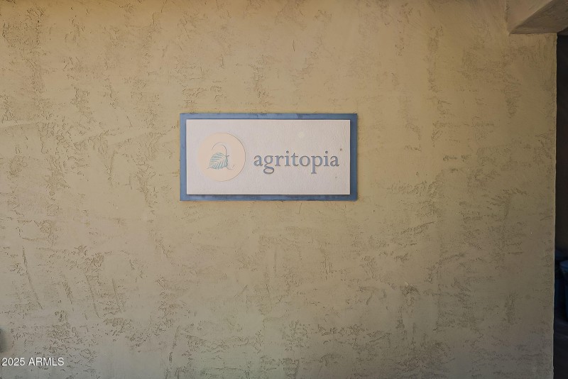 54-web-or-mls-Tamarisk-54