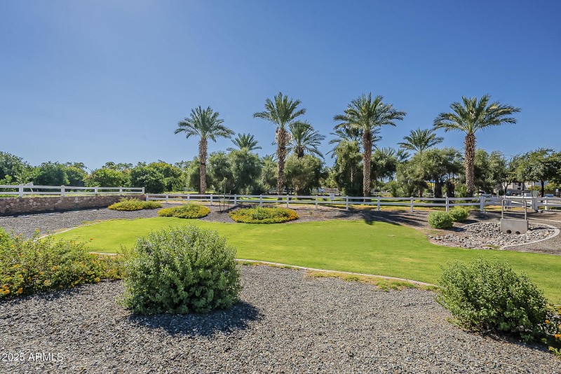 62-web-or-mls-Tamarisk-62