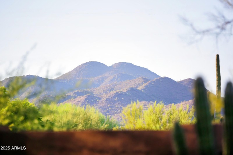 CanyonCreek (5)