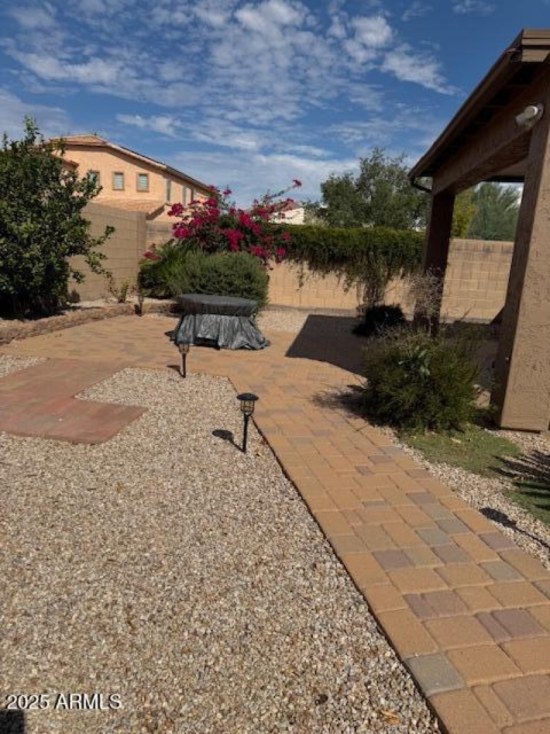 back yard