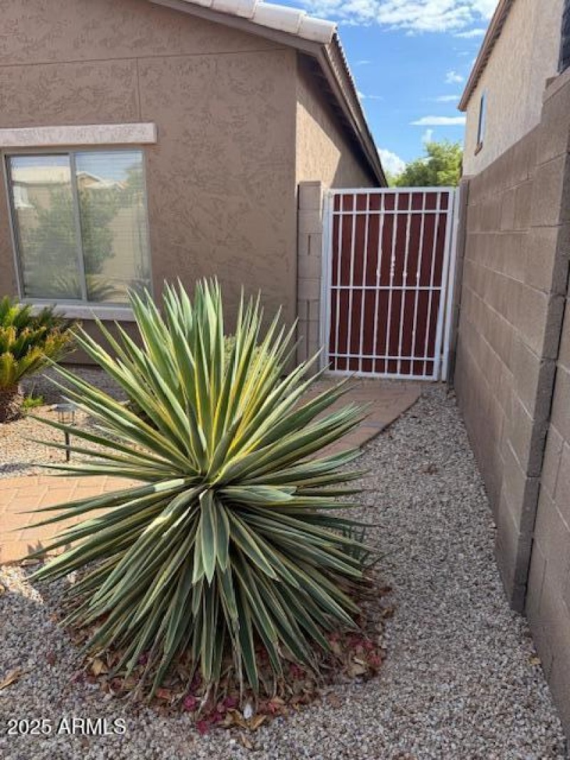 back yard side gate