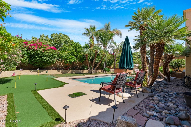 Backyard 3
