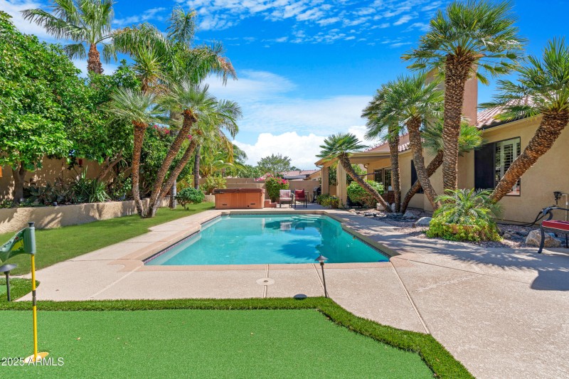 Backyard 5