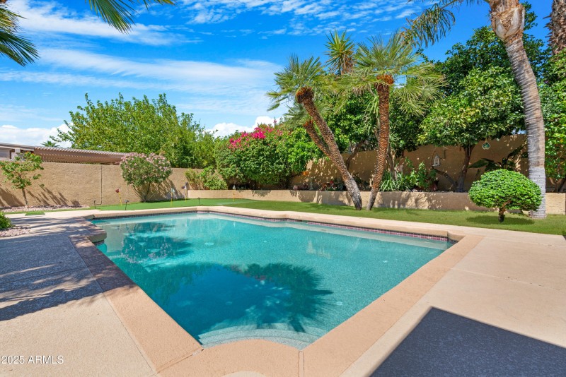 Backyard 6