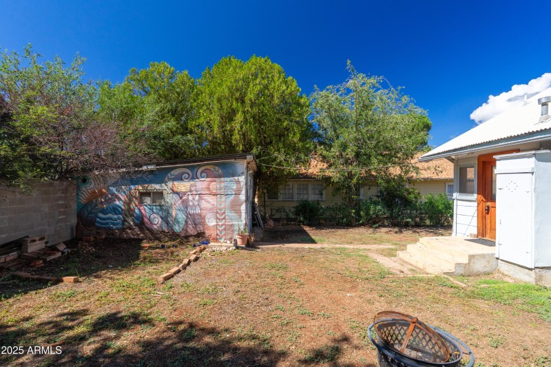Back Yard