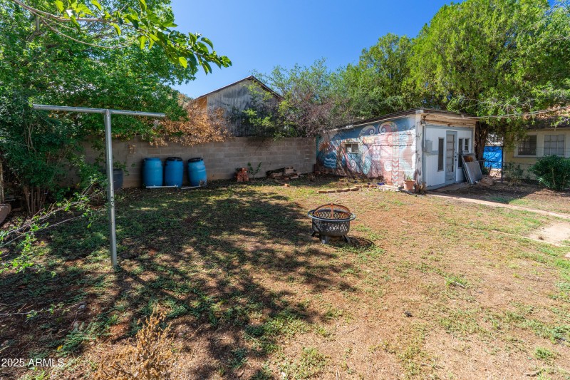 Back Yard