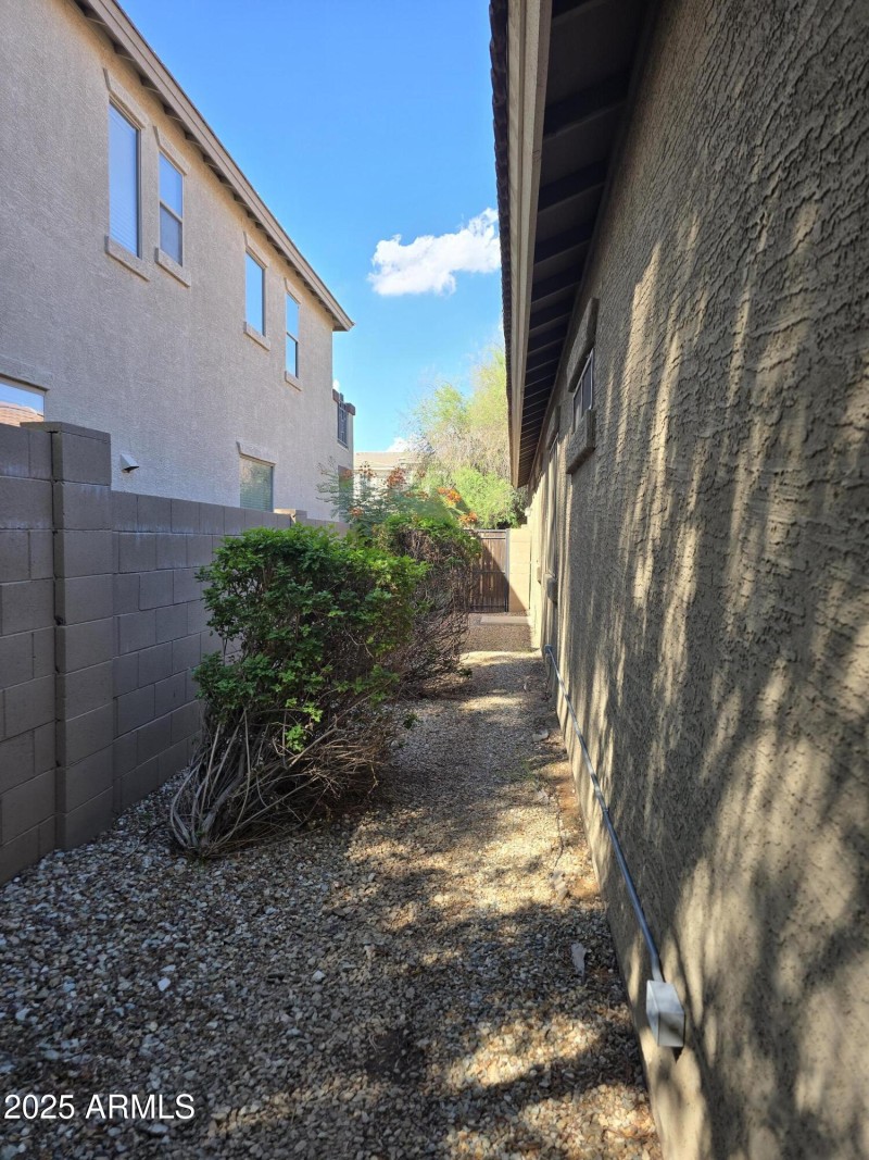 Side Yard