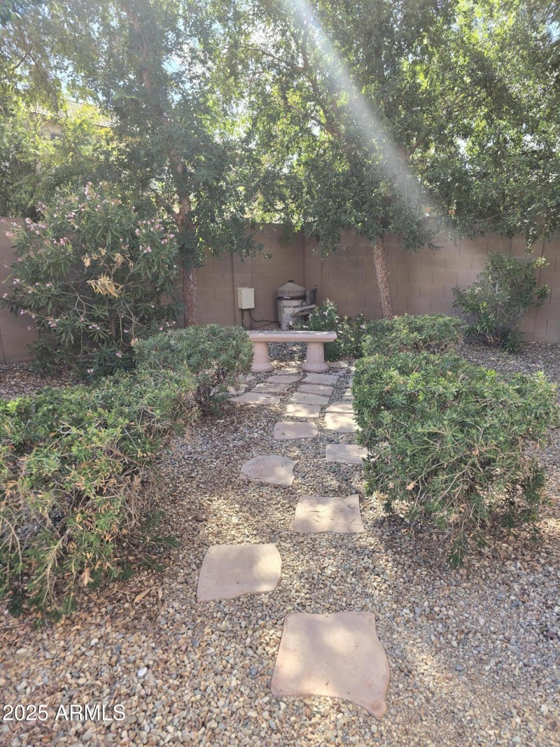 Back Yard