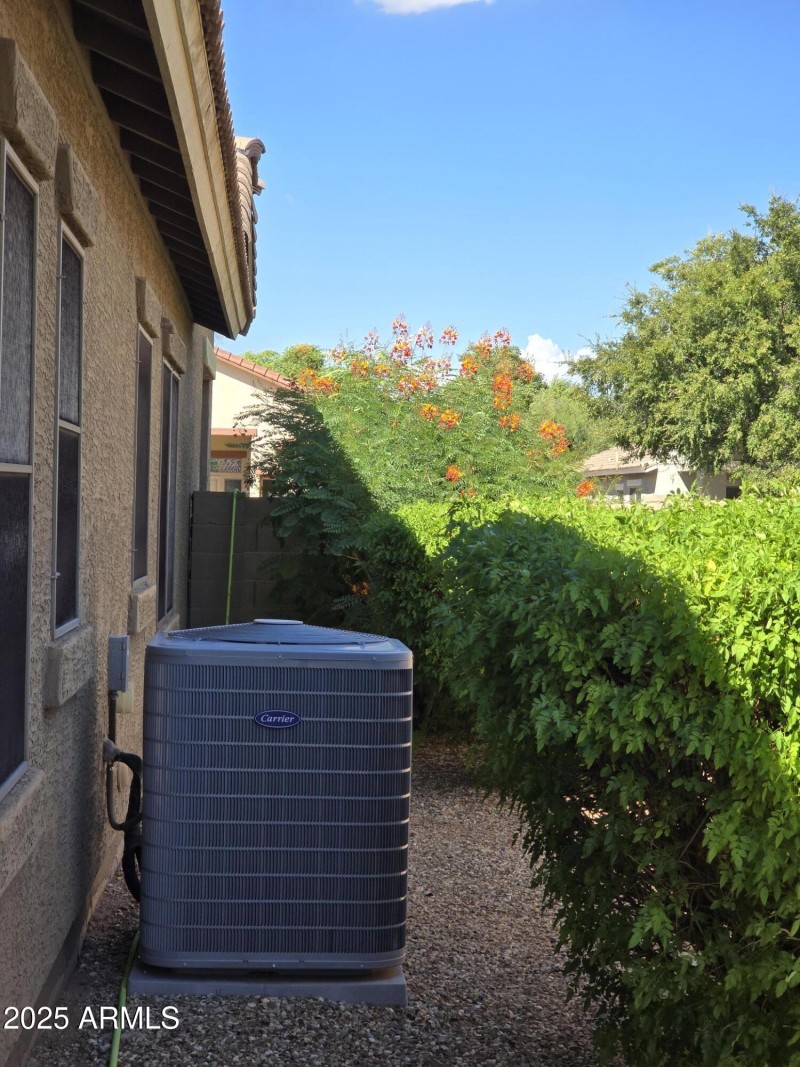Side Yard