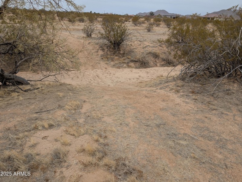PXL_20250214_000040060