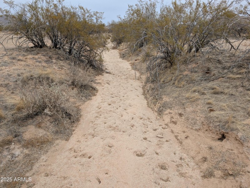 PXL_20250214_000057280