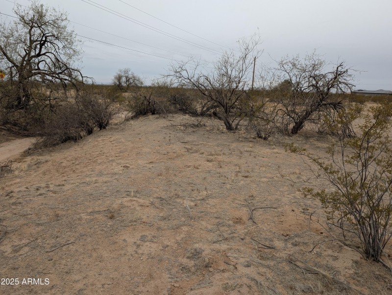 PXL_20250214_000111932