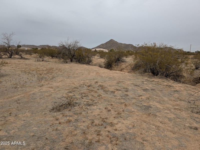 PXL_20250214_000120491