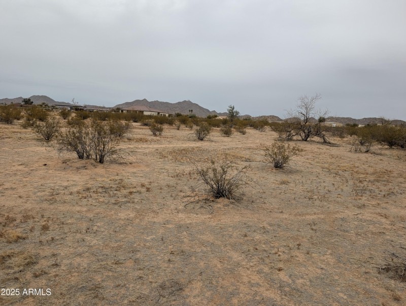 PXL_20250214_000122702
