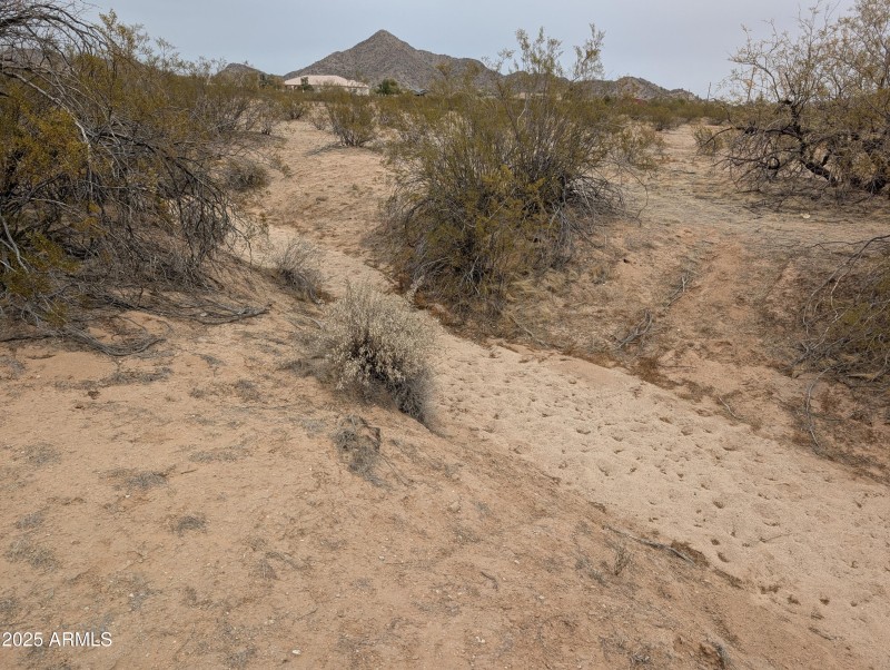PXL_20250214_000143455