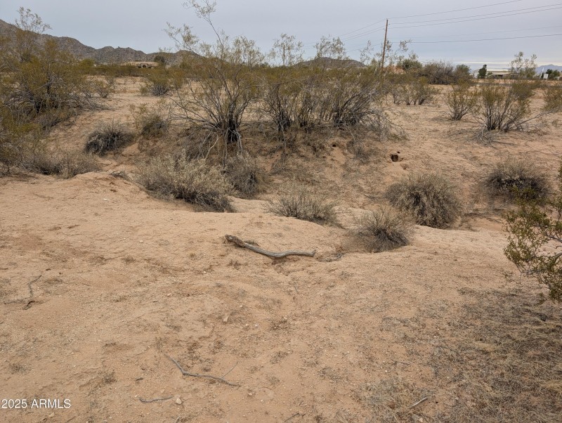 PXL_20250214_000203475
