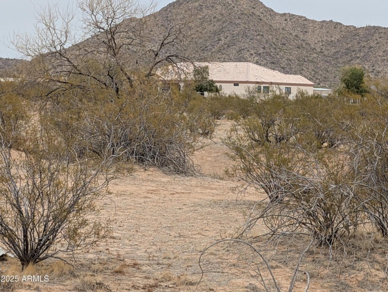 PXL_20250214_000225693