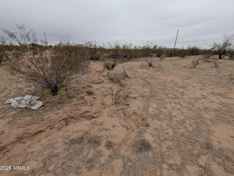 PXL_20250214_000246413