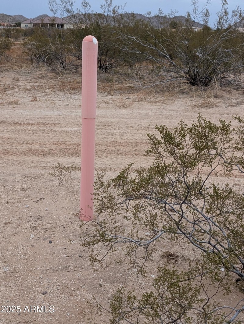PXL_20250214_003436038