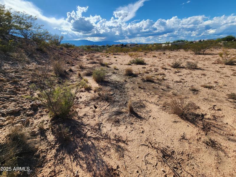 Landscape 2