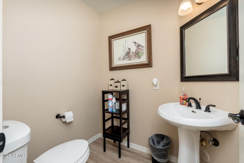 17047 E Dixileta Dr - 16