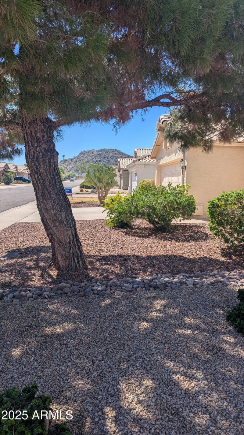 Hiking at the mountain