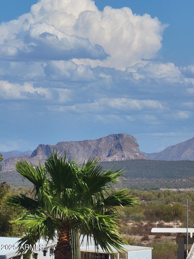3923 view from back yard