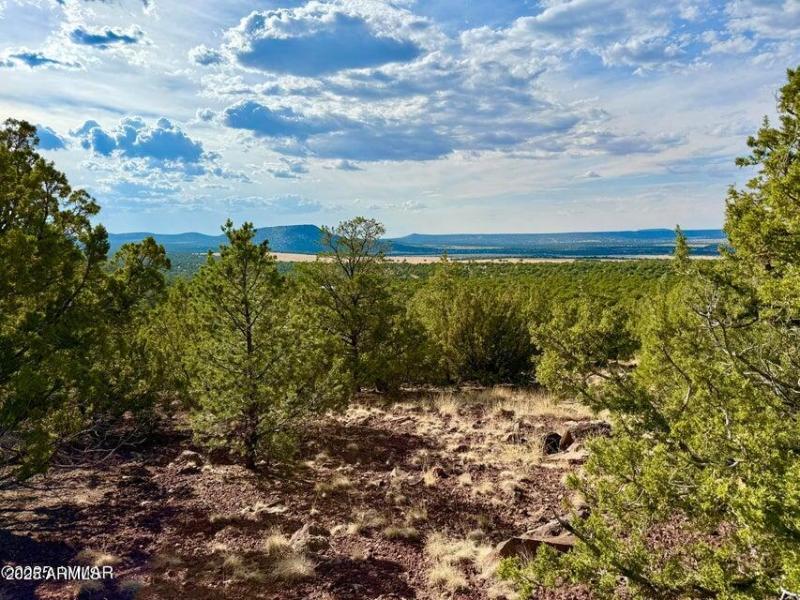 20250823204434645664000000-o