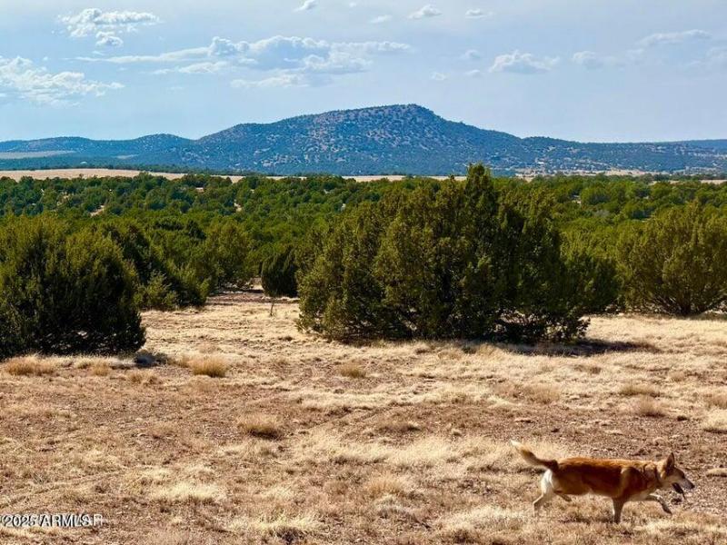 20250824010915598726000000-o