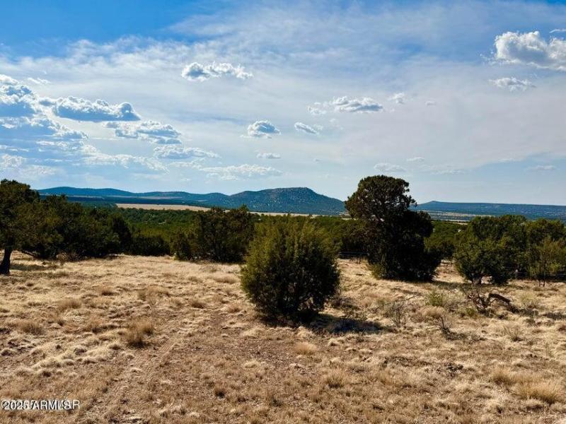 20250824004714123240000000-o