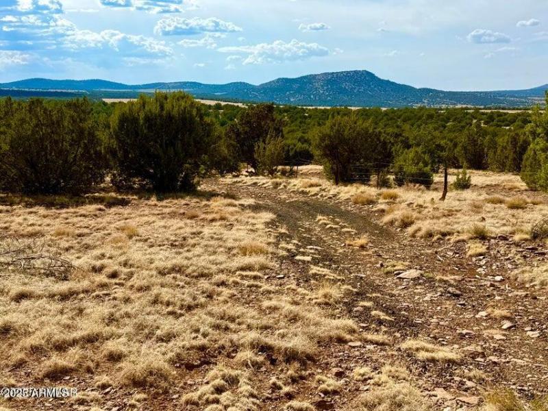 20250824005029142407000000-o