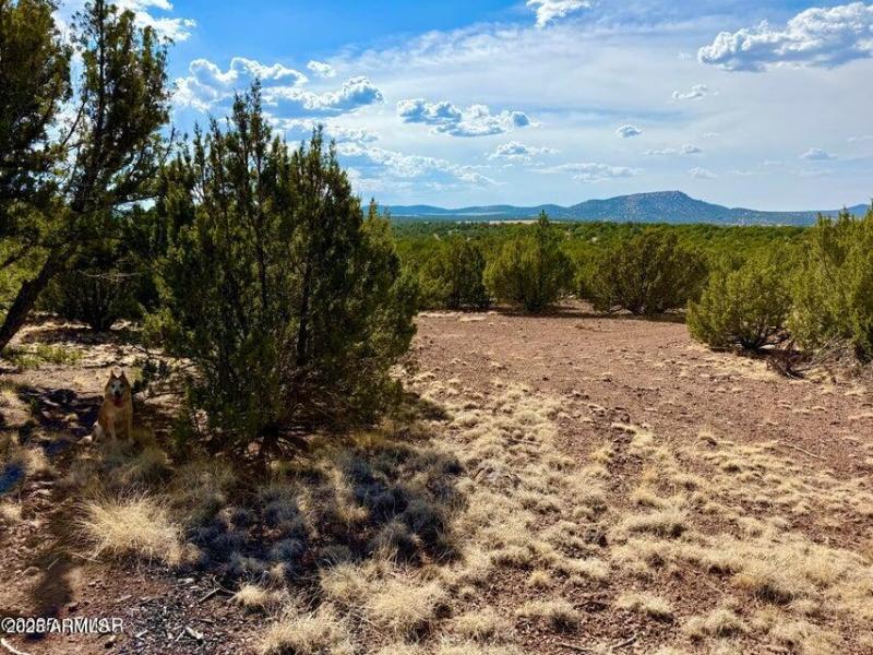 20250824005354906630000000-o