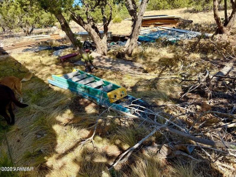 20250824005203967626000000-o