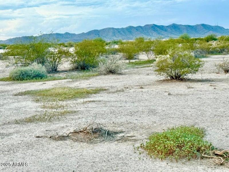 20250923060043337007000000-o