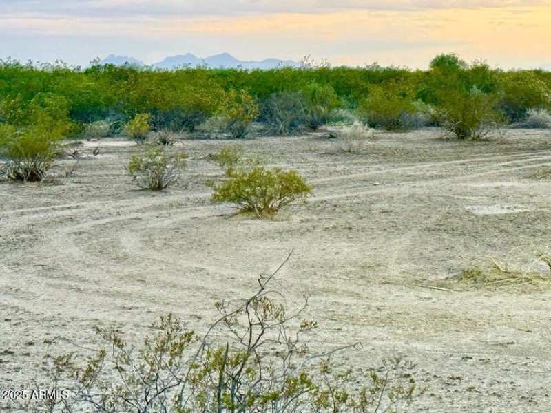 20250923060101812913000000-o