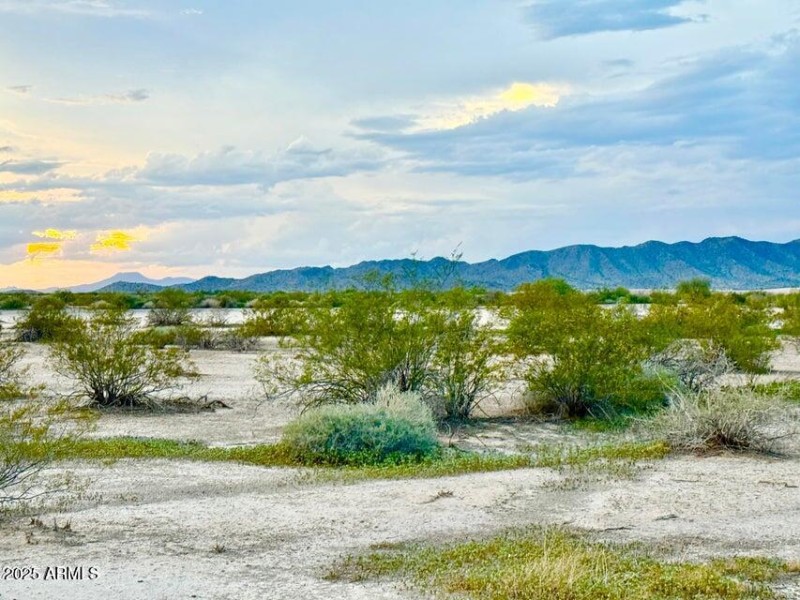 20250923060248665810000000-o