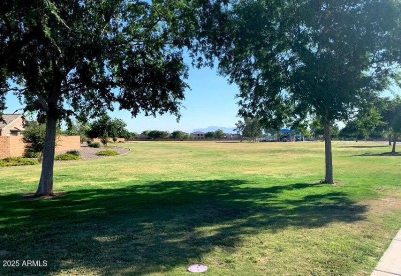 Community Park 1