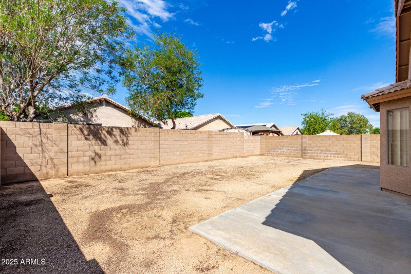 29 Saguaro